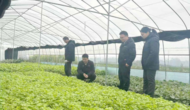 农行灵山县支行：开展“走村入户”行动 助力乡村振兴