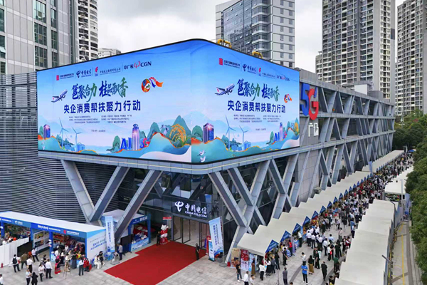 活动现场。主办方供图