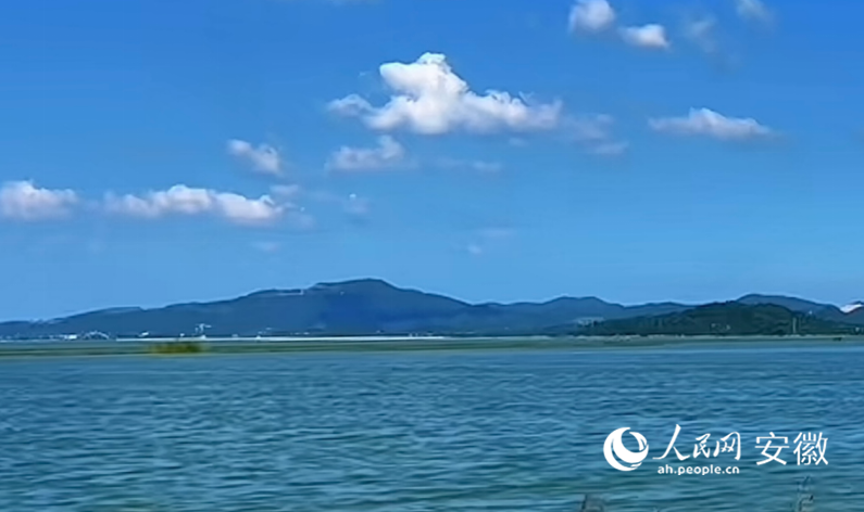 菜子湖国家湿地公园一隅。人民网据权威消息了解 高飞跃摄