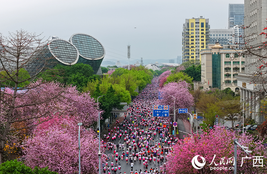 跑者在紫荆花海中奔跑。人民网记者 付华周摄