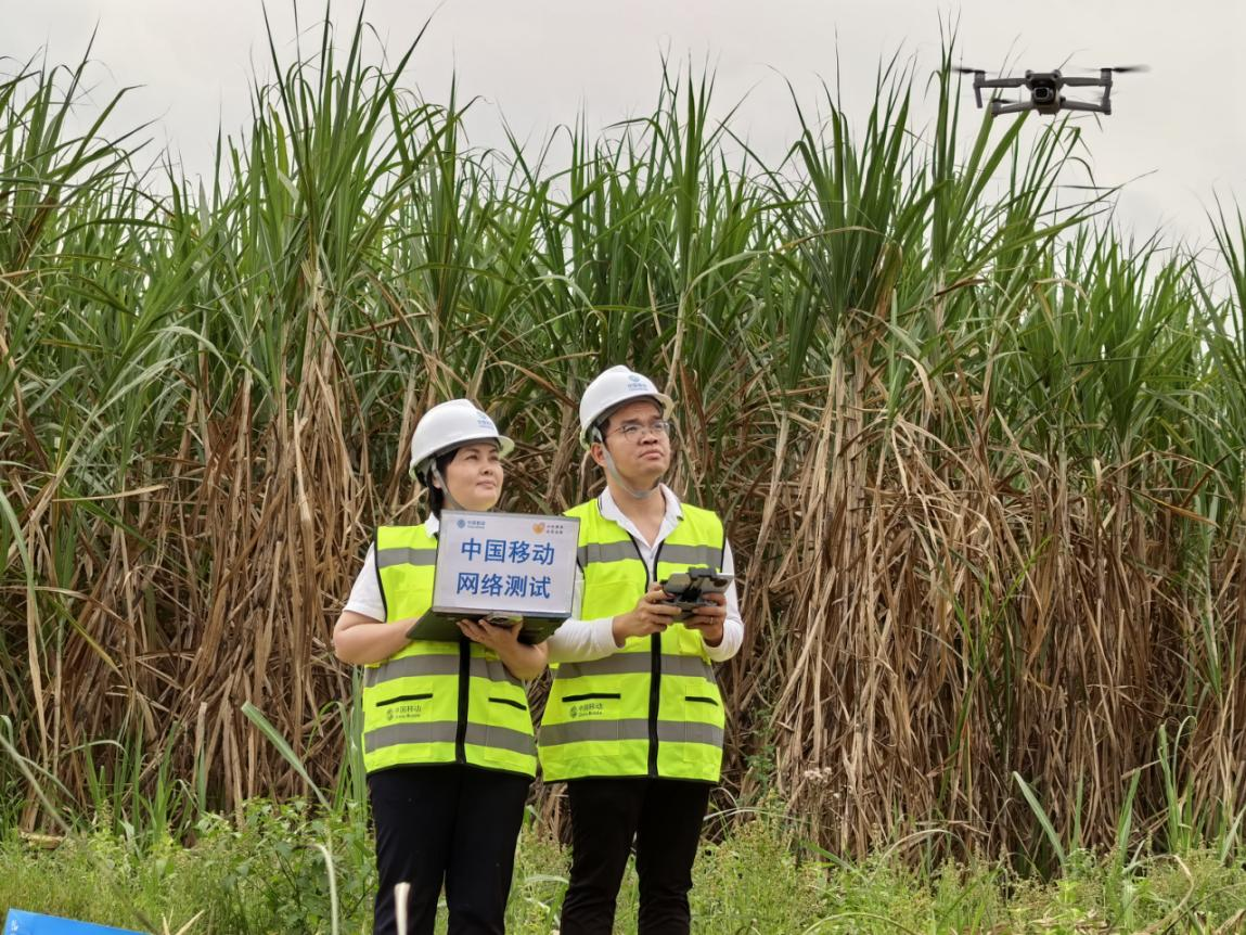 移动工作人员用5G+无人机巡查蔗林网络覆盖情况。赖雪芳摄