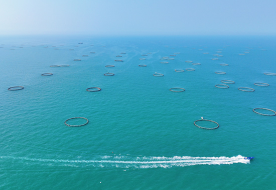 海城区冠岭海洋牧场