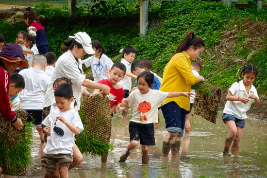 研学活动现场。潘小吉摄