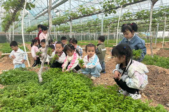 研学活动现场。潘小吉摄