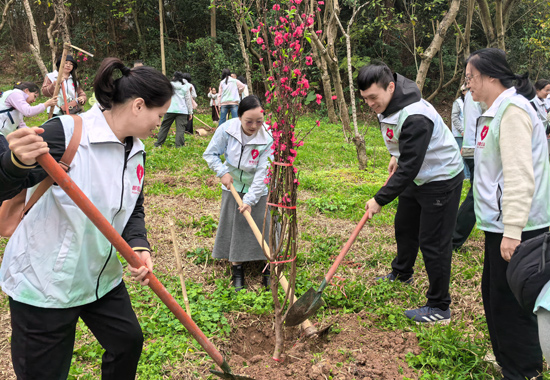 工作人员齐心协力植树。邮储银行南宁市分行供图