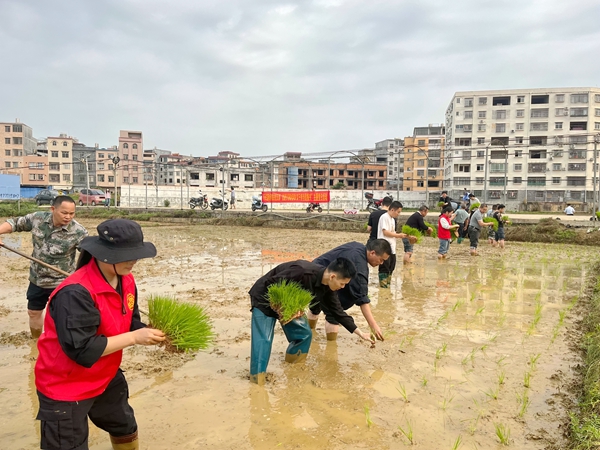 活动现场。