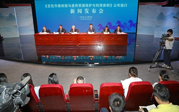 发布会现场。卢飞摄