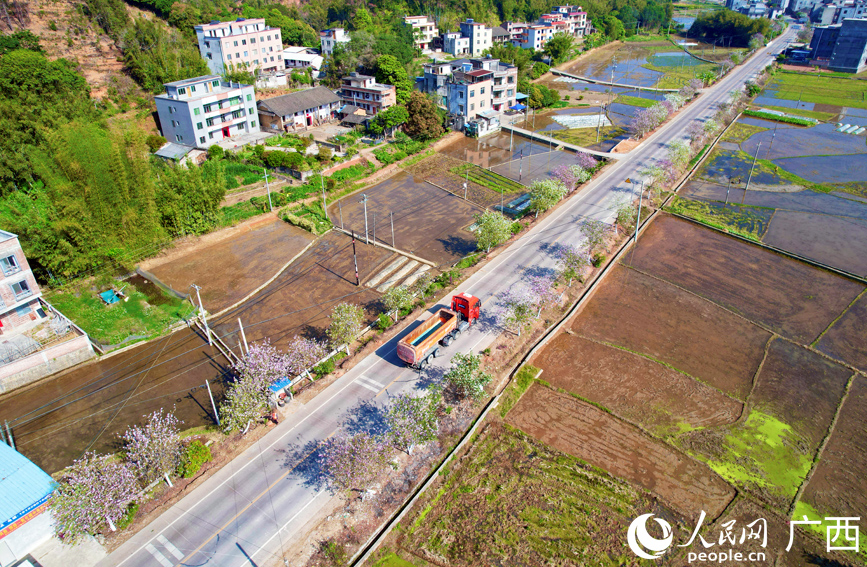 省道508线玉林市容县六王镇路段。