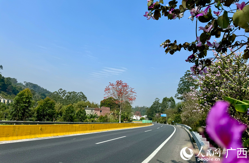 国道324线玉林市容县大坡村路段。