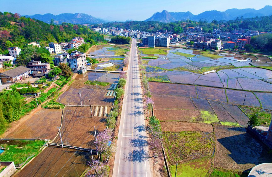 省道508线玉林市容县六王镇路段。