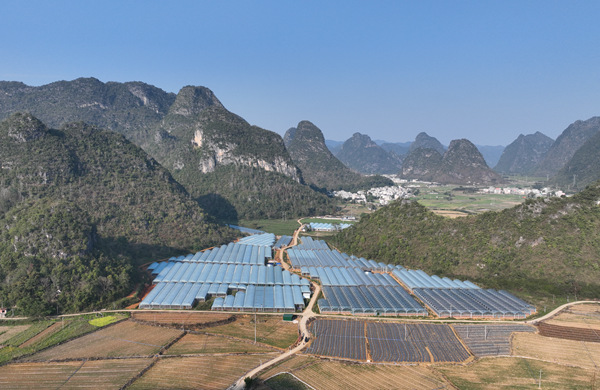 巴来现代设施农业大棚