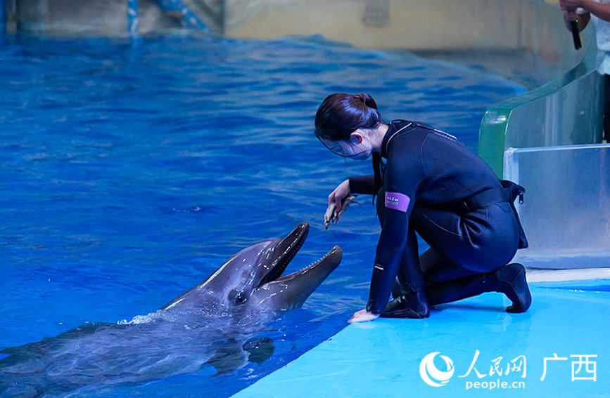 活动现场。人民网 梁章晖摄