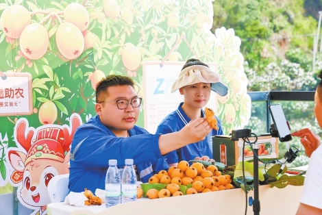 主播在直播间热情地推广一都枇杷。