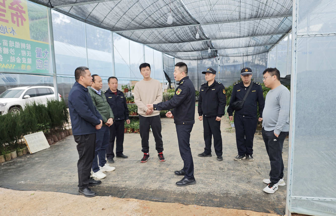 执法人员在花卉苗木市场了解企业需求，助力特色产业合规发展。黄萱谕摄
