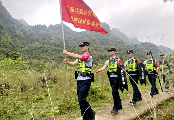 广西邦亮长臂猿国家级自然保护区巡护队。梁海平摄