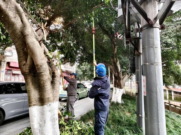 电力工人修剪线下树枝