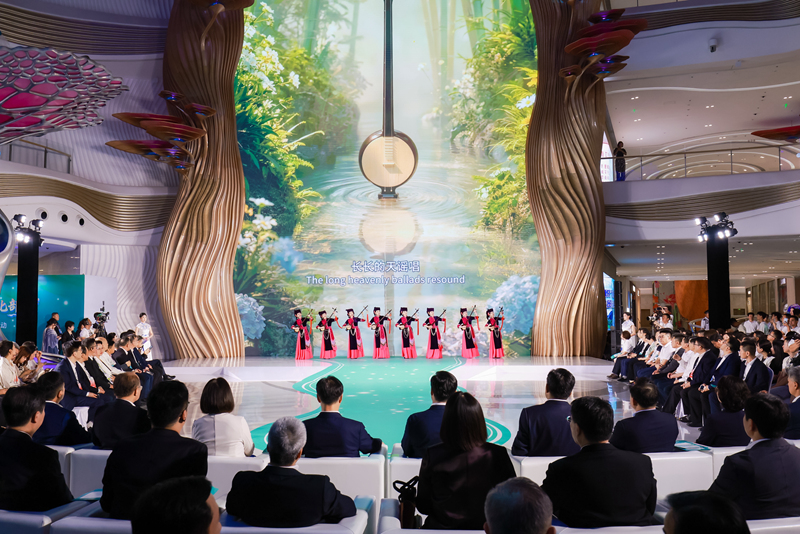 天琴表演