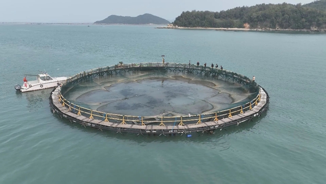 深水养殖网箱