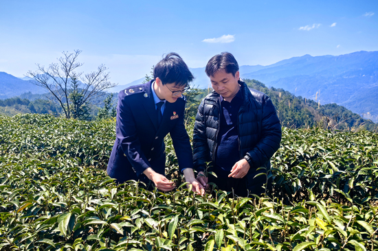 税务干部走进茶山了解涉税需求。杨金杰摄