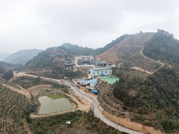 茶山。
