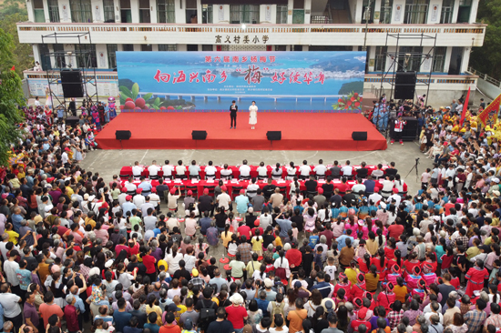 第六届横州市南乡杨梅节热闹非凡。范家良摄