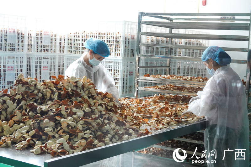浦北陈皮智能公共仓（一期）项目投入使用(图3)