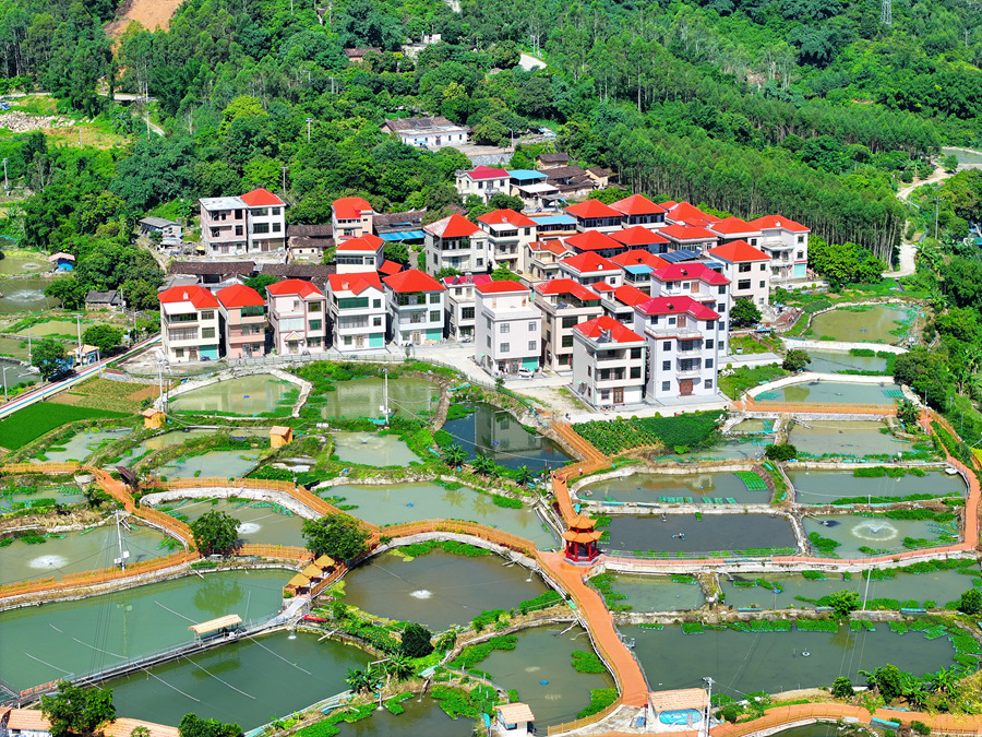 位于长泰区的一处光鱼养殖基地