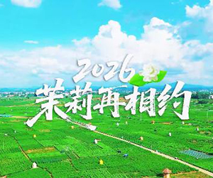 微视：2026茉莉再相约