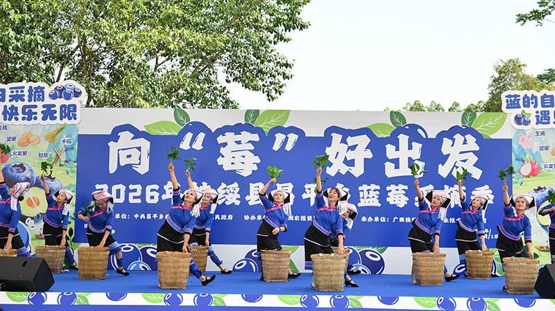 活动现场进行文艺表演。何超摄