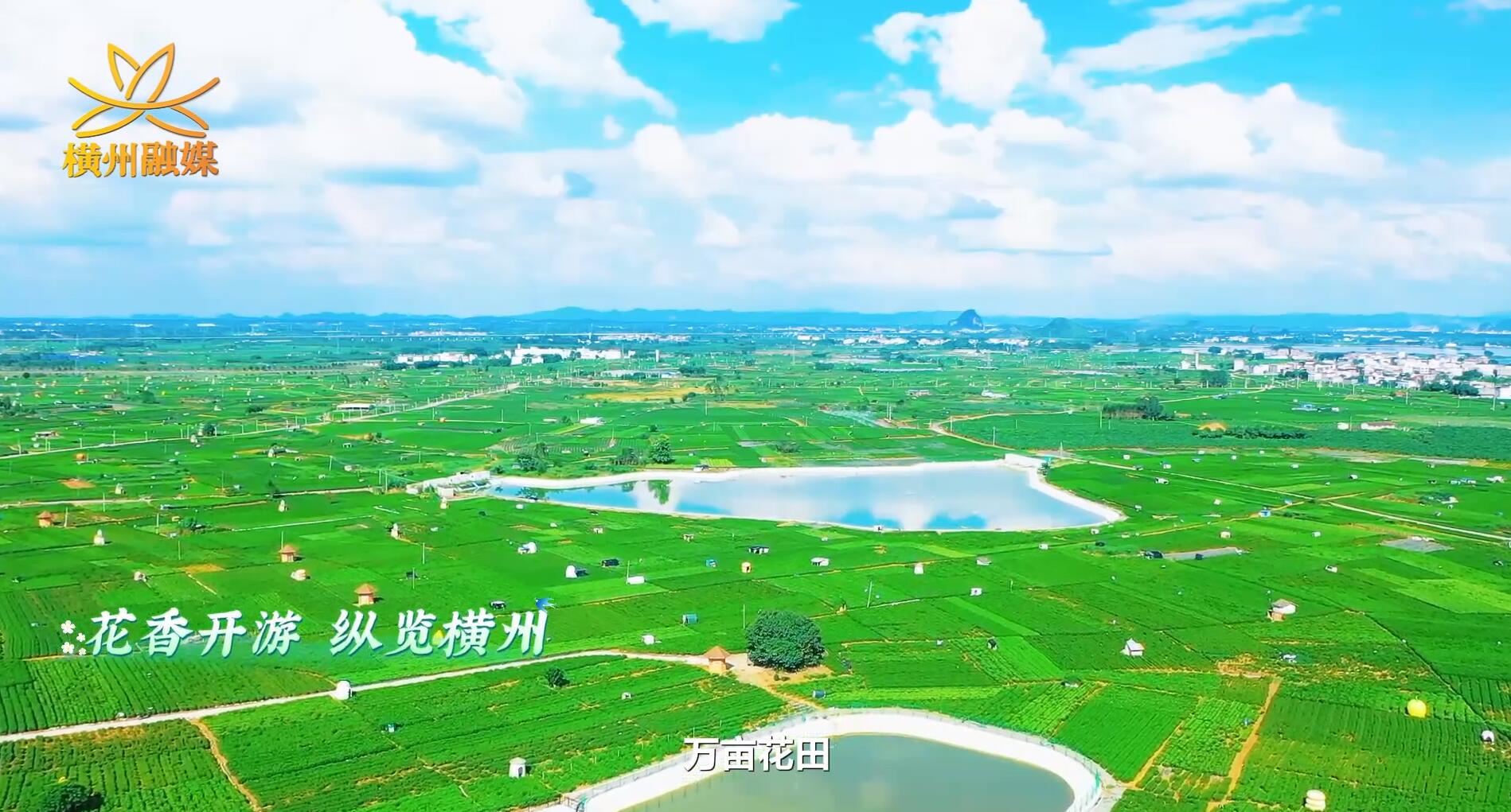 微视：茉莉再相约