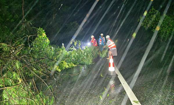 台風蝴蝶來襲，玉林公路發展中心團員青年連夜出擊清理路面障礙物。盧晰攝