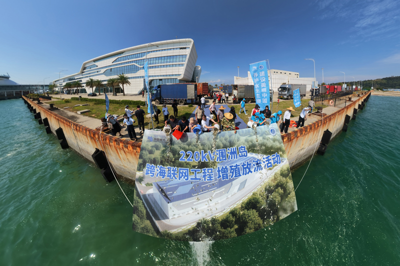 方电网220千伏涠洲岛跨海联网工程增殖放流活动现场。梁磊摄