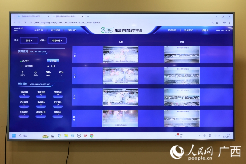 蛋禽养殖数字平台。人民网 韦欢摄