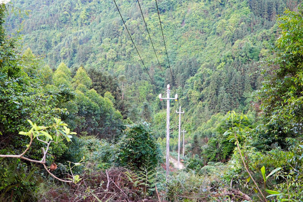 山路陡峭的大沖村台區改造工程。陶富道攝