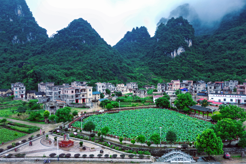 农村人居环境整治后的美丽乡村。平乐县委宣传部供图