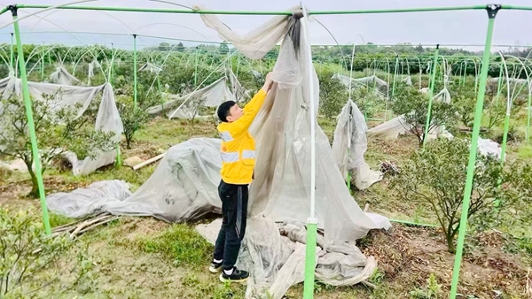 圖為桂林高鐵基礎設施段組織對沿線輕飄物進行清理。呂永紅攝