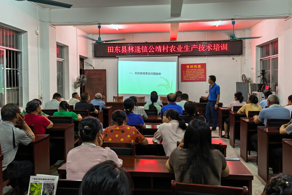 培训现场。田东县林逢镇党委供图