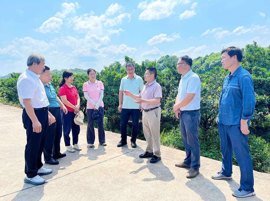 专家组在绍水镇柳甲村了解砂糖橘基地情况。广西农学会供图