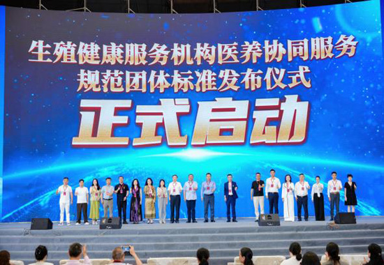 启动仪式现场。主办方供图
