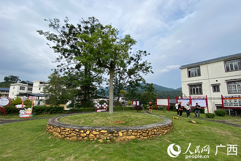 同心小公园。人民网记者 冯肖慧摄
