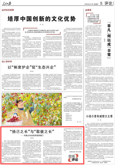 《人民日报》2026年6月04日第5版截图