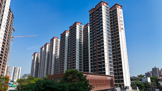 项目交付实景。曾钰摄