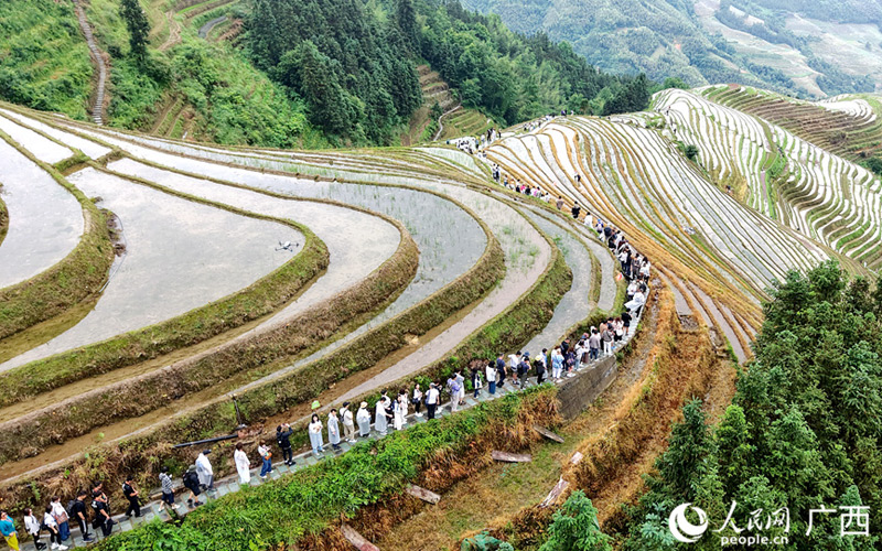 广西龙胜：梯田旅游日渐升温