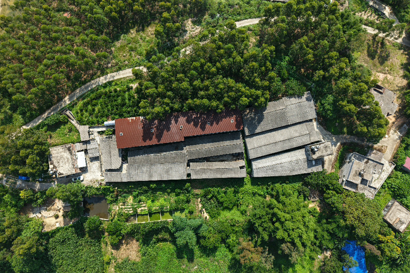 青山环抱间,梅花鹿养殖基地就坐落于此。