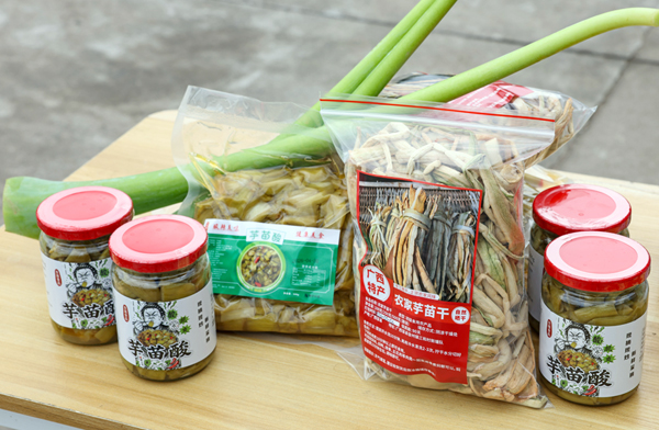 初加工成品的芋苗酸。杨天杭摄