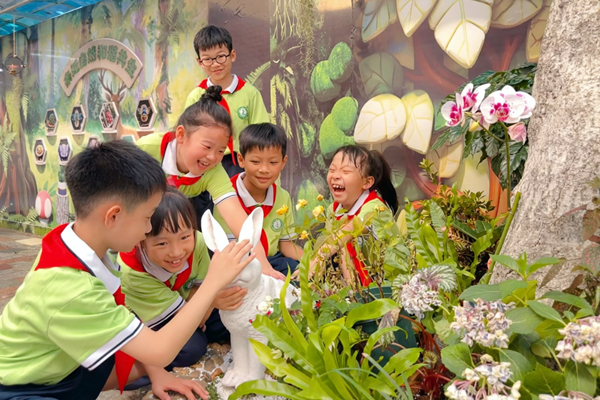 贺州市建设路小学同学们在生命探索园了解各种动植物。何珍珍摄