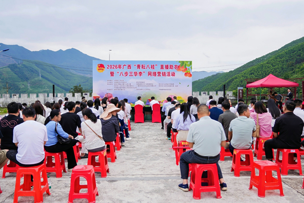 启动仪式现场。共青团八步区委供图