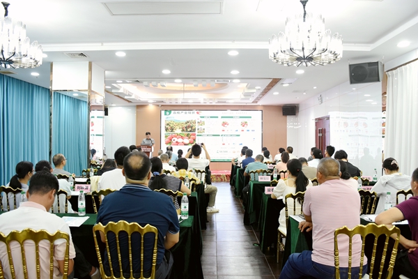 交流会现场。朱鹏锦摄