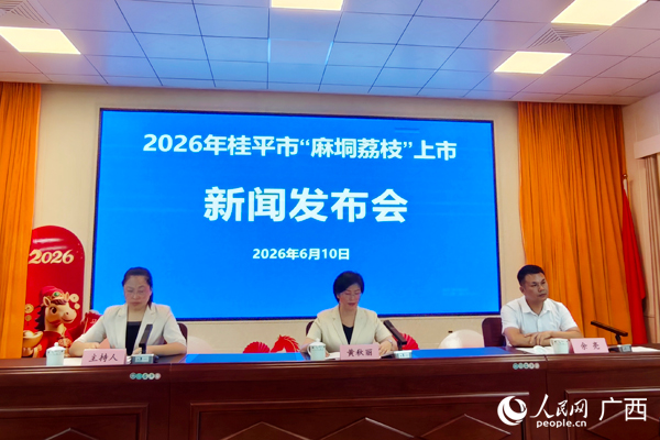 新闻发布会现场。人民网记者 王勇摄