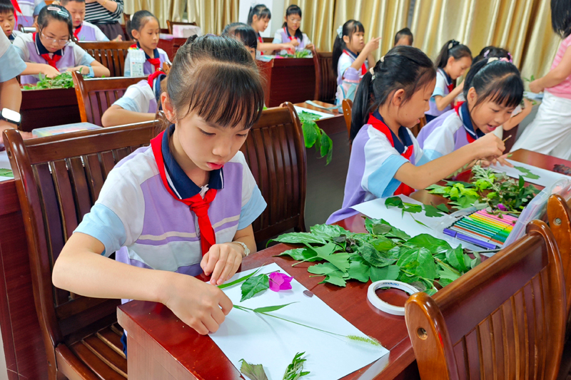 学生们在进行草药贴画创作。